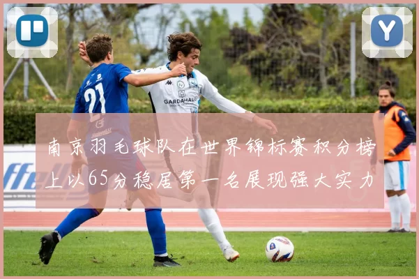 南京羽毛球队在世界锦标赛积分榜上以65分稳居第一名展现强大实力