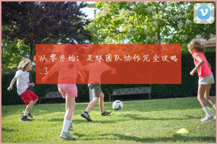 从零开始：足球团队协作完全攻略_3