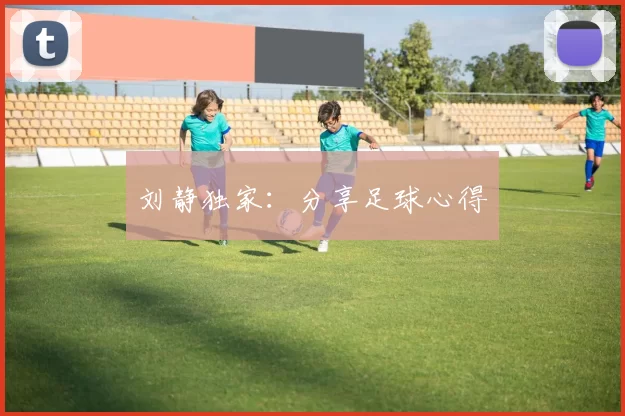 刘静独家：分享足球心得