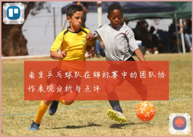 南京乒乓球队在锦标赛中的团队协作表现分析与点评