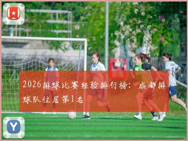 2026排球比赛经验排行榜：成都排球队位居第1名